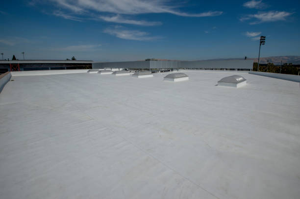 Steel Roofing in Caldwell, TX
